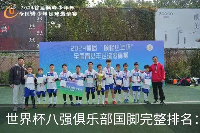 世界杯八强俱乐部国脚完整排名：阿森纳巴萨并列第一、曼城第三，欧冠豪门仅第五深度解析
