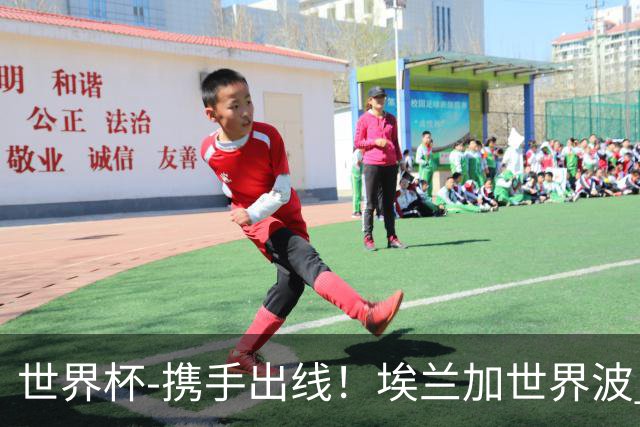 世界杯-携手出线！埃兰加世界波 瑞典1-1送日本踢巴西