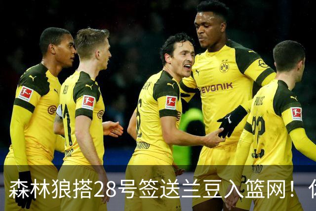 森林狼搭28号签送兰豆入篮网！休媒：利好火箭，27年可换网队首轮