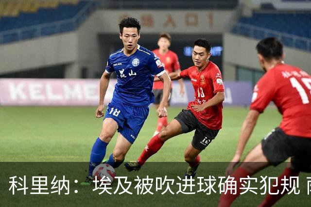 科里纳：埃及被吹进球确实犯规 萨拉赫倒地正常接触