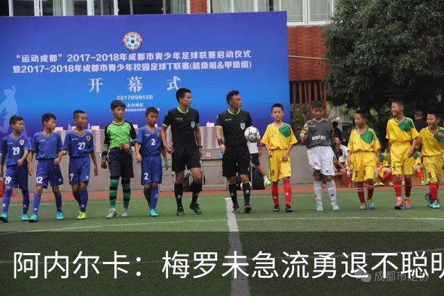 阿内尔卡：梅罗未急流勇退不聪明 我32岁都去中国了