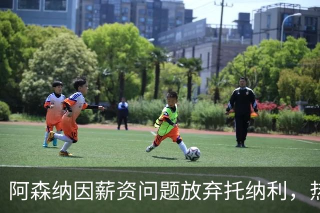 阿森纳因薪资问题放弃托纳利，热刺9.02亿元总价敲定交易